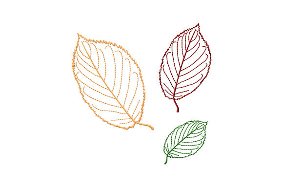 Beech Tree Leaves: A Seasonal Embroidery Review