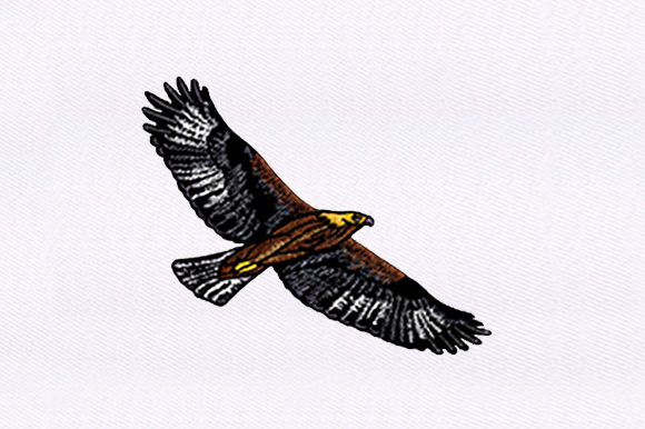 Brown Eagle Review: A Bold Choice for Boutique Apparel