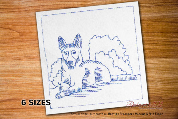 German Shepherd Dog Sitting and Smile Design Review